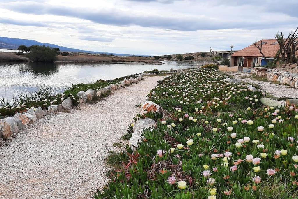 Maisonnette Entre Etang Et Plage 루케이트 외부 사진